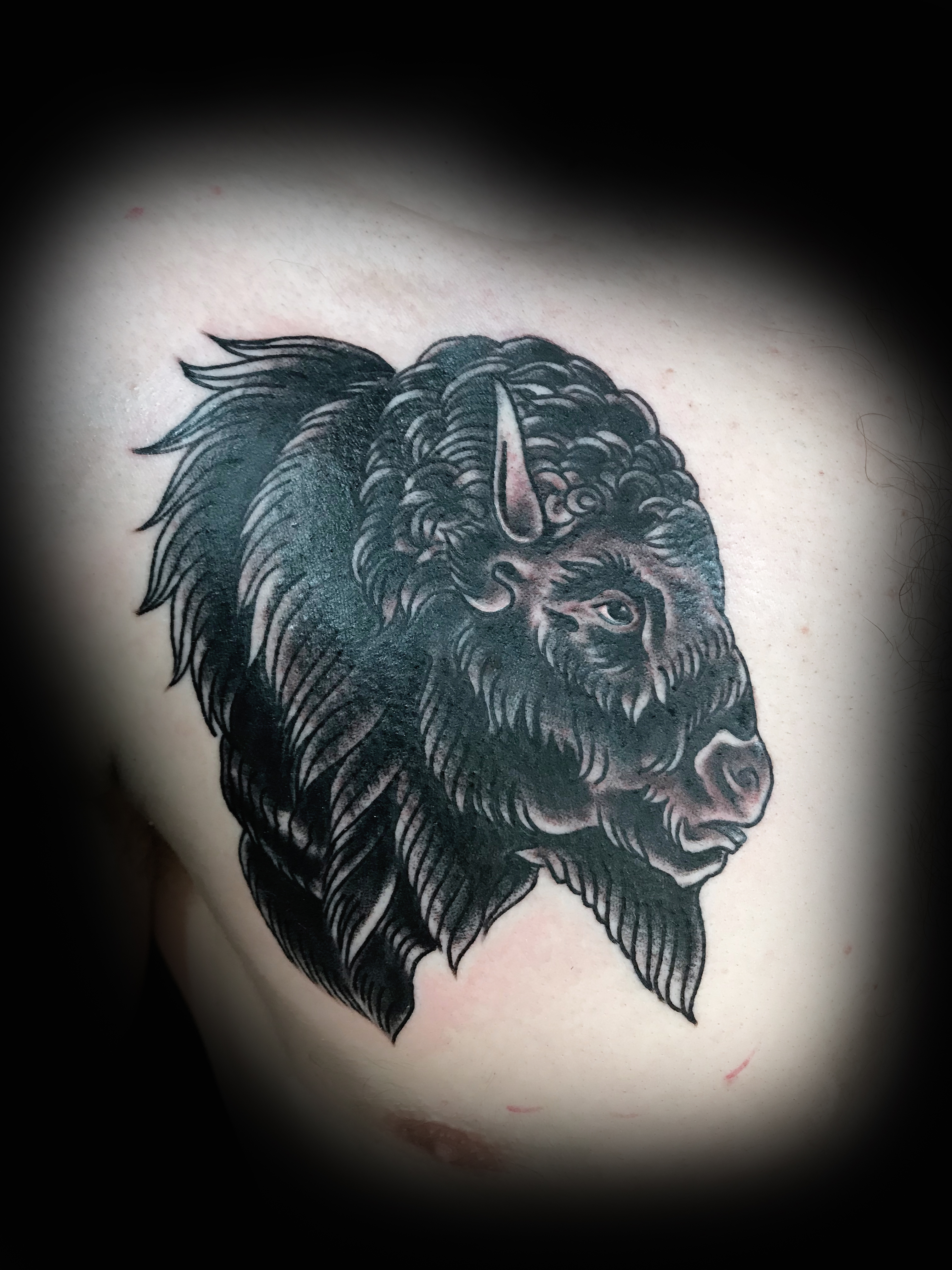 Black work Bull Head Ivan Herrera Traditional Tattoo Berlin