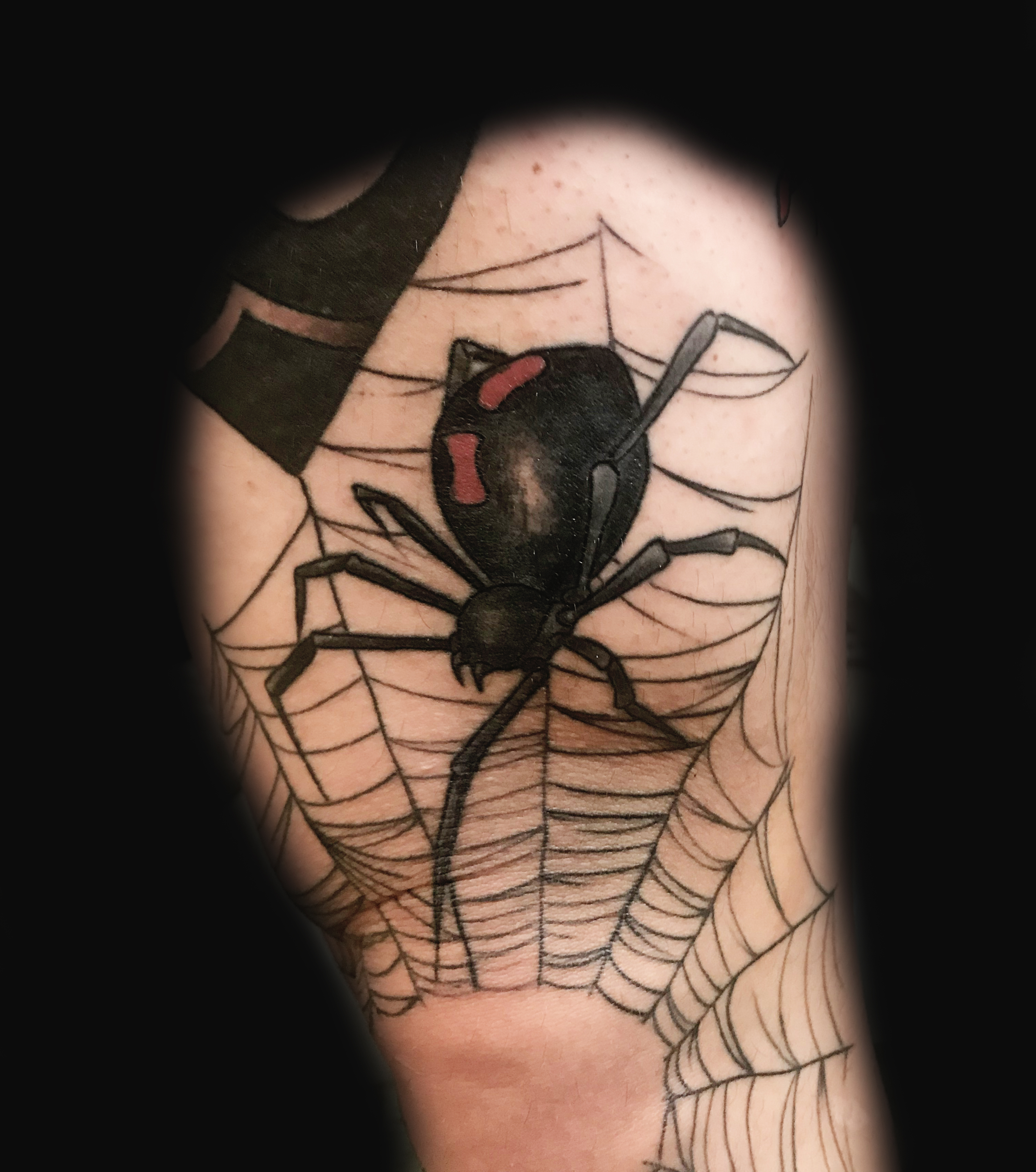 Spider Ivan Herrera Traditional Tattoo Berlin