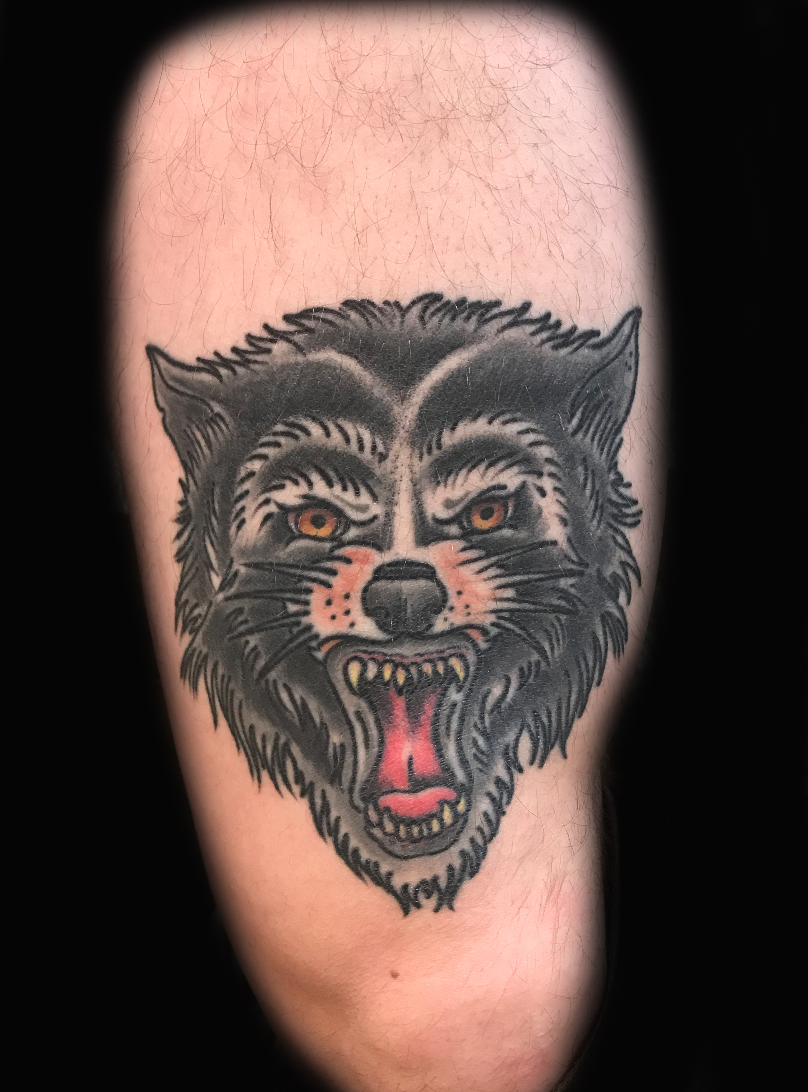 Wolf Ivan Herrera Traditional Tattoo Berlin